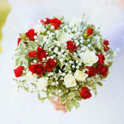 Red Rose And White Breath